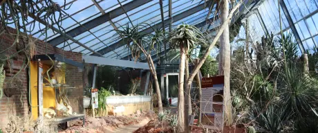 Überblick der Namibia-Ausstellung in den Pflanzenschauhäusern des Botanischen Gartens Rombergpark