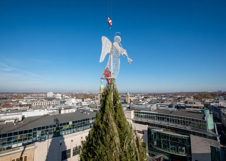 Die Spitze des größten Weihnachtsbaums der Welt wird mit einem Engel verziert.