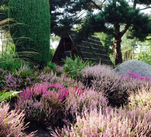 Die Moor- und Heidelandschaft mit bunten Pflanzen und einem Holzhaus im Botanischen Garten Rombergpark