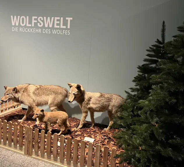 Wolfsaustellung Naturmuseum