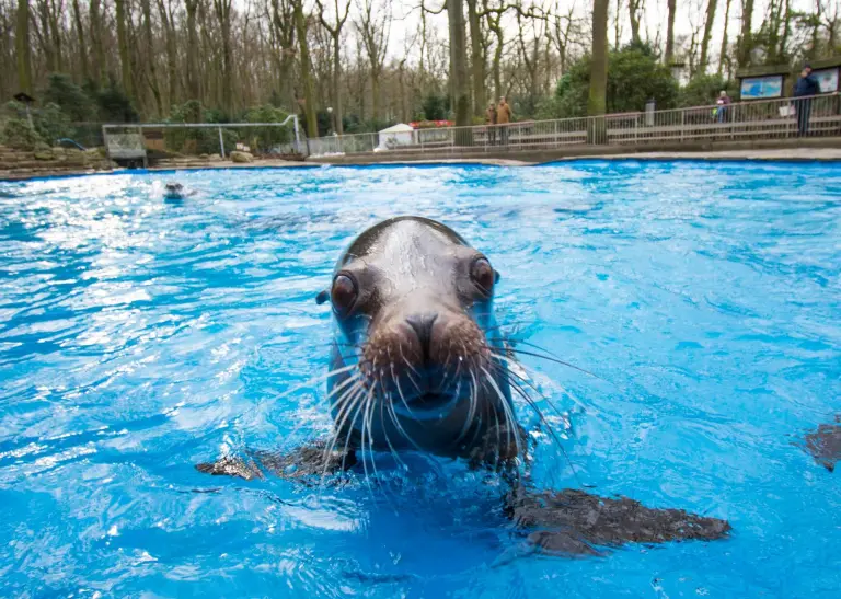 Dortmunder Erlebnisort: Zoo Dortmund 