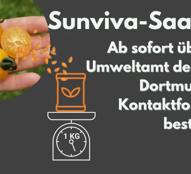 Sunviva-Saatgut ist ab sofort über das Umweltamt der Stadt Dortmund per Kontaktformular bestellbar.
