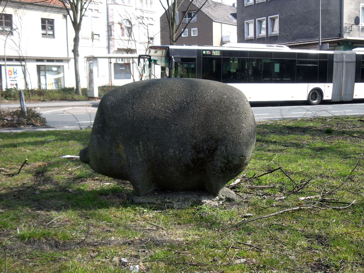 Schwein