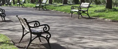 Sitzbänke in der Stoffregenallee im Botanischen Garten Rombergpark