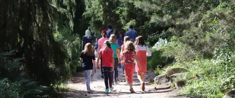 Eine Gruppe aus Erwachsenen und Kindern besucht den Botanischen Garten Rombergpark. 