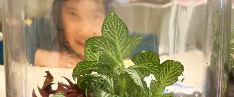Ein Mädchen betrachtet einen sogenannten Flaschengarten, ein bepflanztes Einmachglas