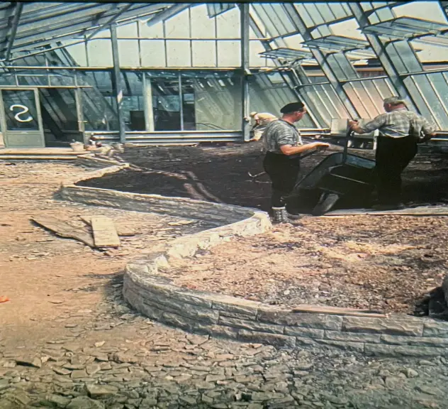 Der Bau der Pflanzenschauhäuser von 1959 im Botanischen Garten Rombergpark 