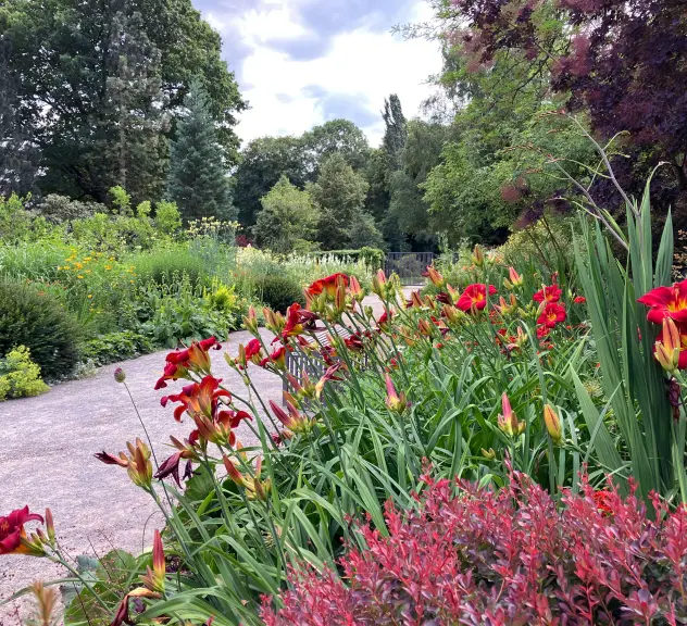Das Staudenborder in englischer Tradition im Botanischen Garten Rombergpark