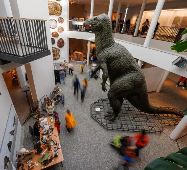 Ein Blick von oben in die Ausstellung im Naturmuseum. Am Fuß der Dinosaurier-Figur gehen Personen entlang.
