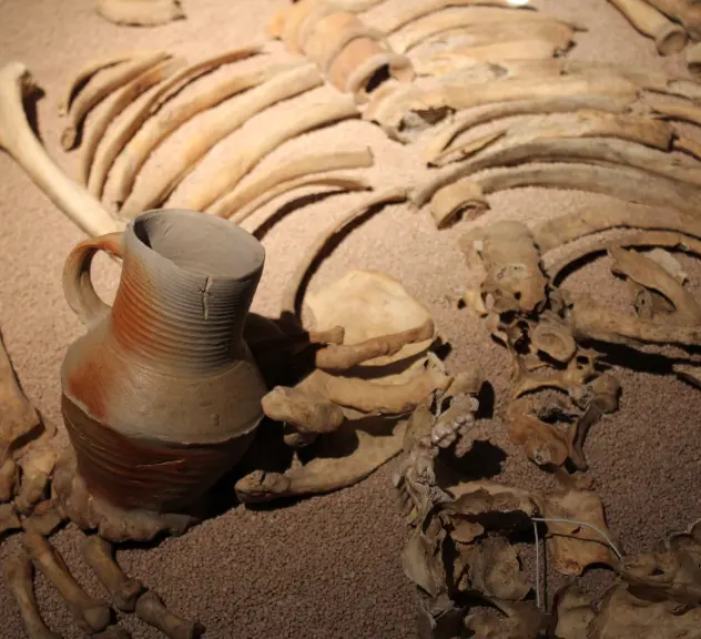 Eine antike Vase neben einem liegenden Skelett