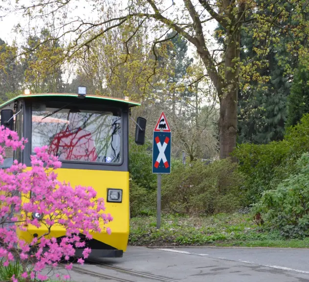 Die farbenfrohe Kleinbahn im Westfalenpark fährt vorbei an blühenden Sträuchern, eine charmante Attraktion für Besucher*innen aller Altersgruppen