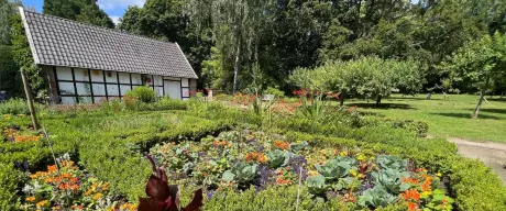 Der Bauerngarten im Westfalenpark zeigt eine Vielfalt an Pflanzen mit einem traditionellen Fachwerkhaus im Hintergrund, darunter Gemüsebeete und farbenfrohe Blumen, ein Beispiel für ökologisches Gärtnern und naturnahe Gestaltung.