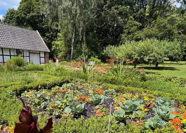 Der Bauerngarten im Westfalenpark zeigt eine Vielfalt an Pflanzen mit einem traditionellen Fachwerkhaus im Hintergrund, darunter Gemüsebeete und farbenfrohe Blumen, ein Beispiel für ökologisches Gärtnern und naturnahe Gestaltung.