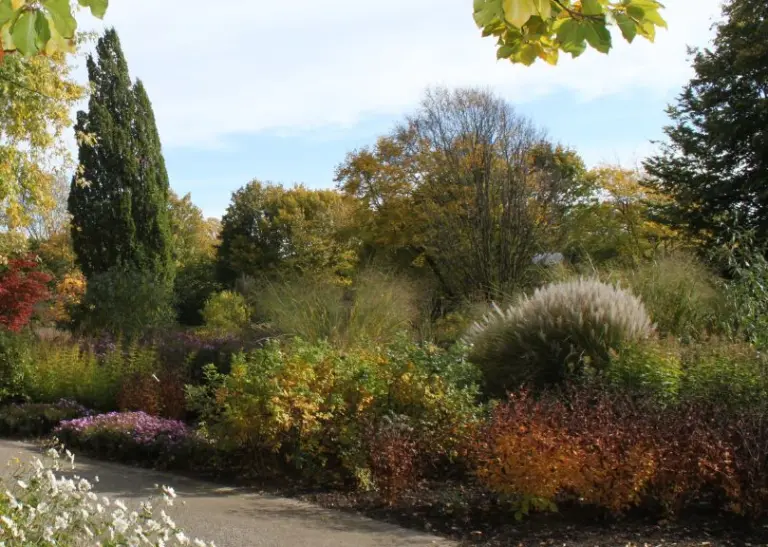 Staudenhochbeete im Westfalenpark während der Herbstzeit, mit einer Vielfalt von blühenden Pflanzen und Bäumen.