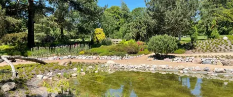 Panoramaansicht der Heidelandschaft im Westfalenpark mit einem Teich im Vordergrund, umgeben von sorgfältig arrangierten Steinen, Heidekraut und grünen Bäumen, die eine ruhige und natürliche Atmosphäre ausstrahlen.