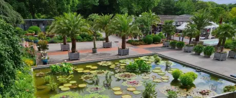  Der Zentralplatz im Westfalenpark Dortmund, umrahmt von exotischen Palmen und malerische Seerosen in den Wasserbecken