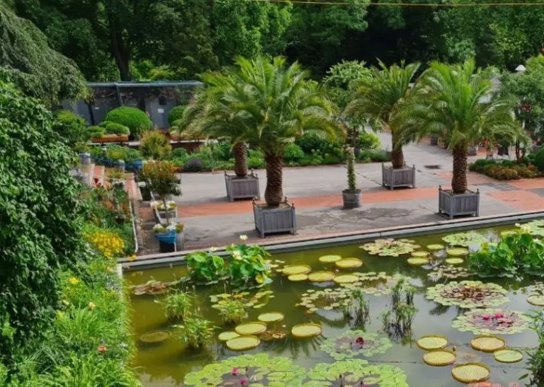  Der Zentralplatz im Westfalenpark Dortmund, umrahmt von exotischen Palmen und malerische Seerosen in den Wasserbecken