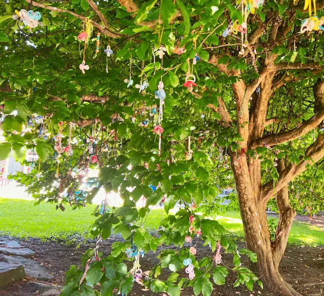 Baum im Westfalenpark, geschmückt mit bunten Schnullern zum Schnullertag am Regenbogenhaus, ein symbolischer Akt des Aufwachsens