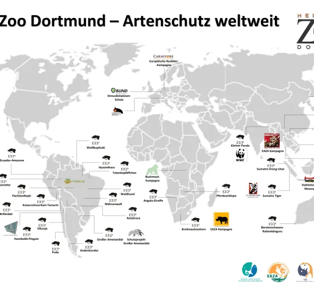 Grau-weiße Weltkarte, auf der Artenschutzprojekte des Zoo Dortmund eingezeichnet sind