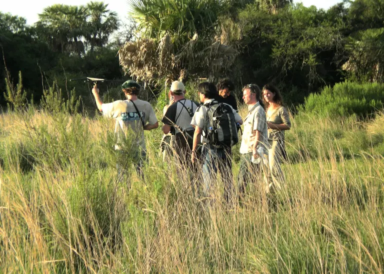 Eine Gruppe von sieben Personen läuft durch hohes Gras, eine Person hält einen Sender in der Hand