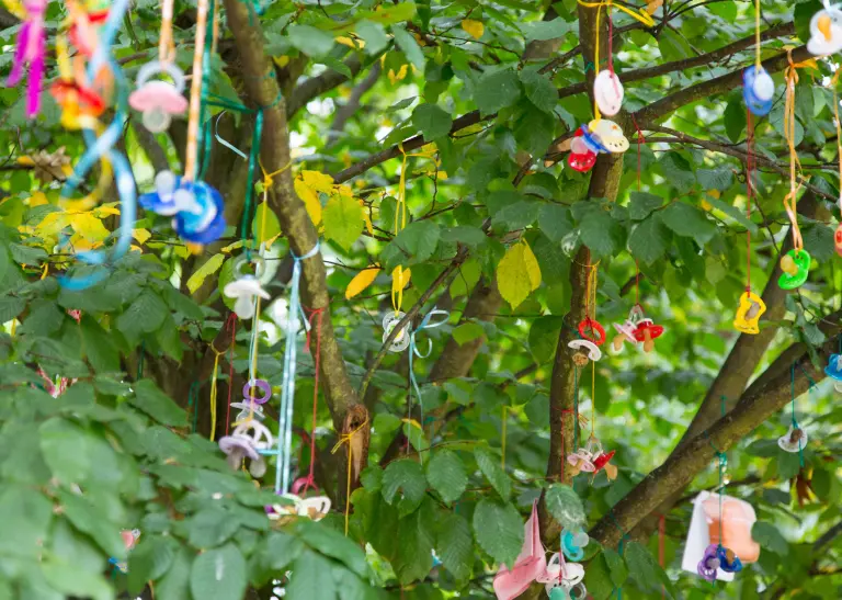 Schnullerbaum im Westfalenpark: Baum in dem viele Schnuller hängen