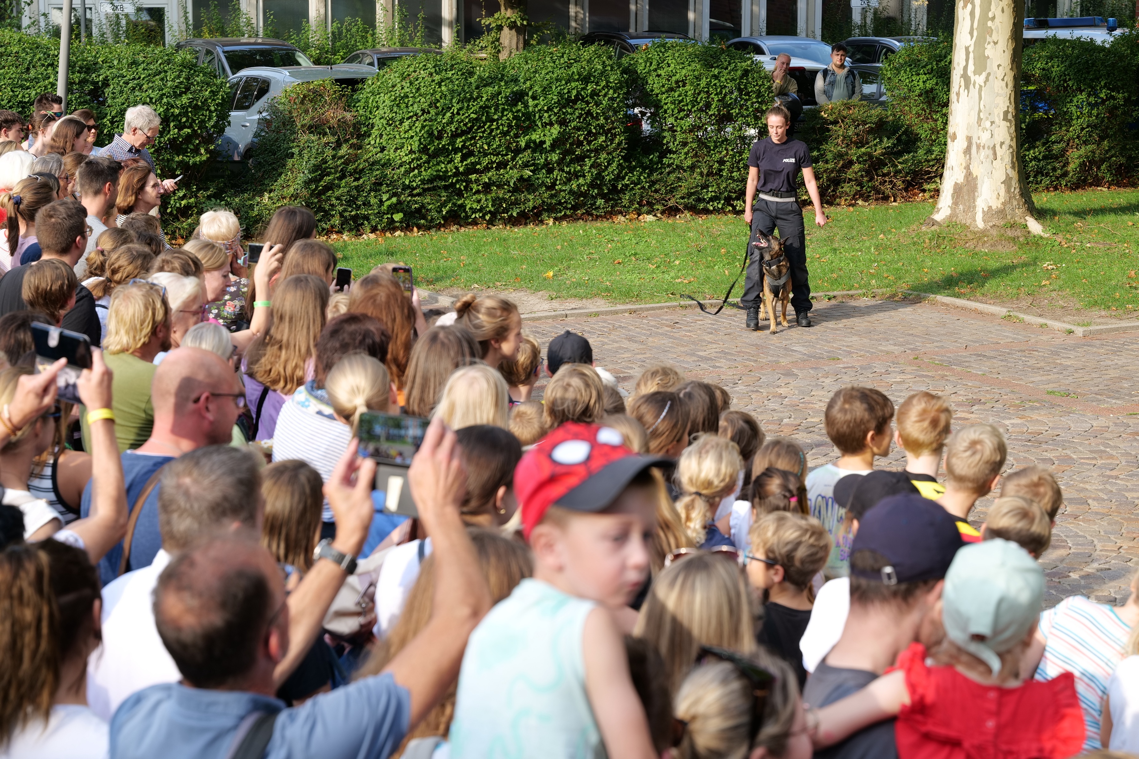 Besucher*innen beobachten die Vorführung "Polizeihunde im Einsatz" beim Polizeipräsidium Dortmund.