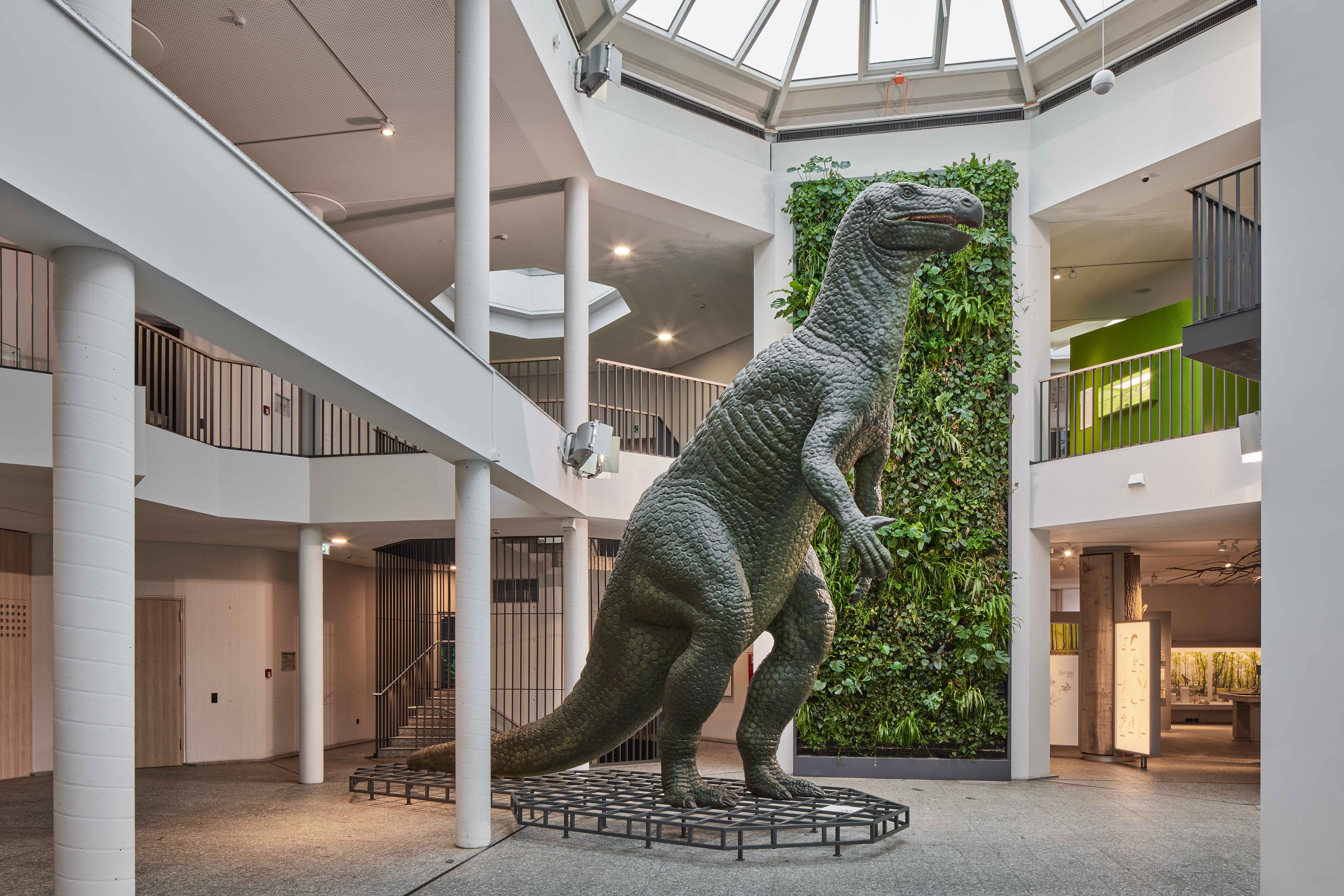 Blick ins Foyer des Naturmuseums. In der Mitte Modell eines riesigen Dinosauriers. 