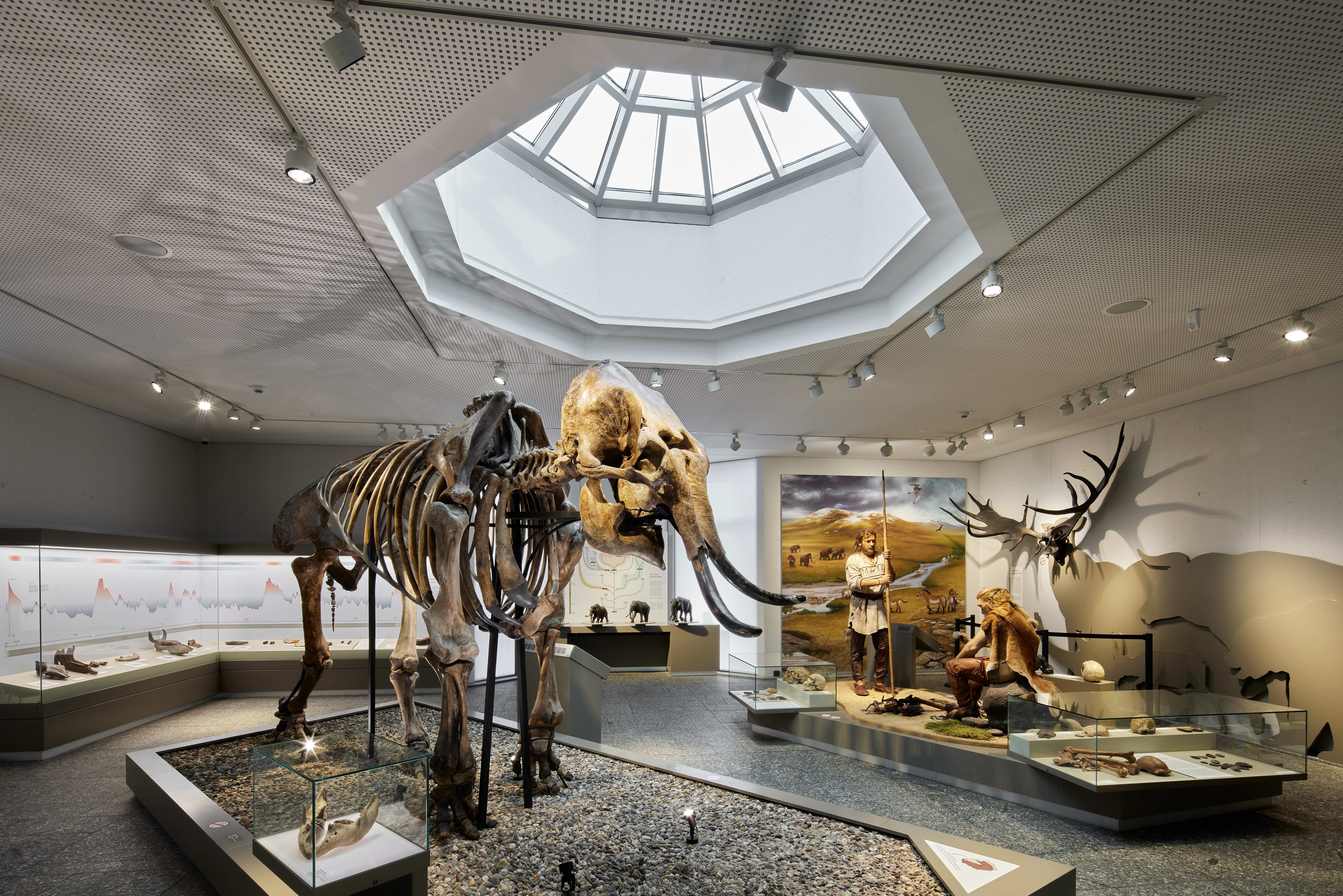 Skelett eines Mammuts im Vordergrund. Hinten ein Diorama mit steinzeitlichen Menschen.
