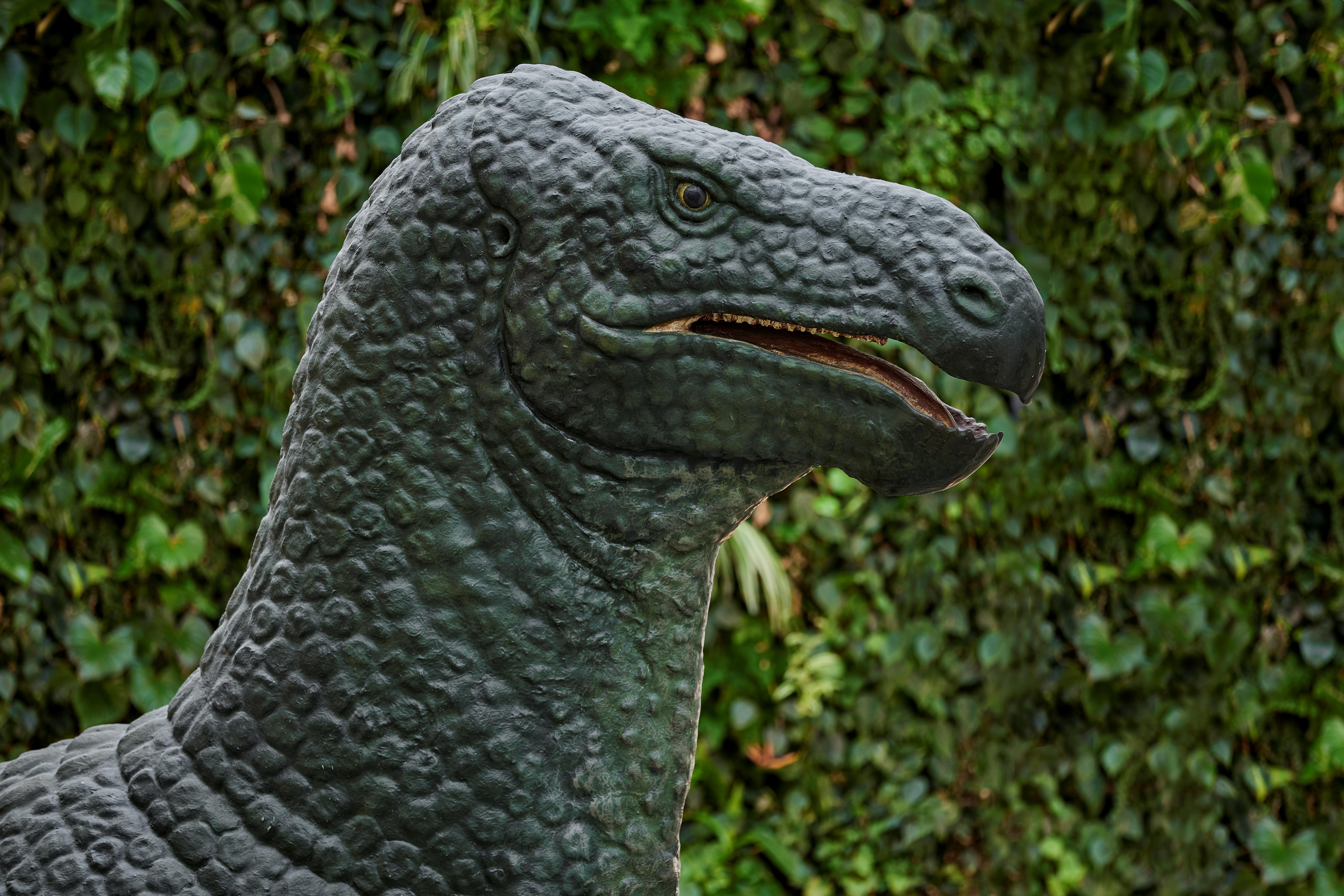 Detailansicht mit Fokus auf den Kopf des Dino-Modells