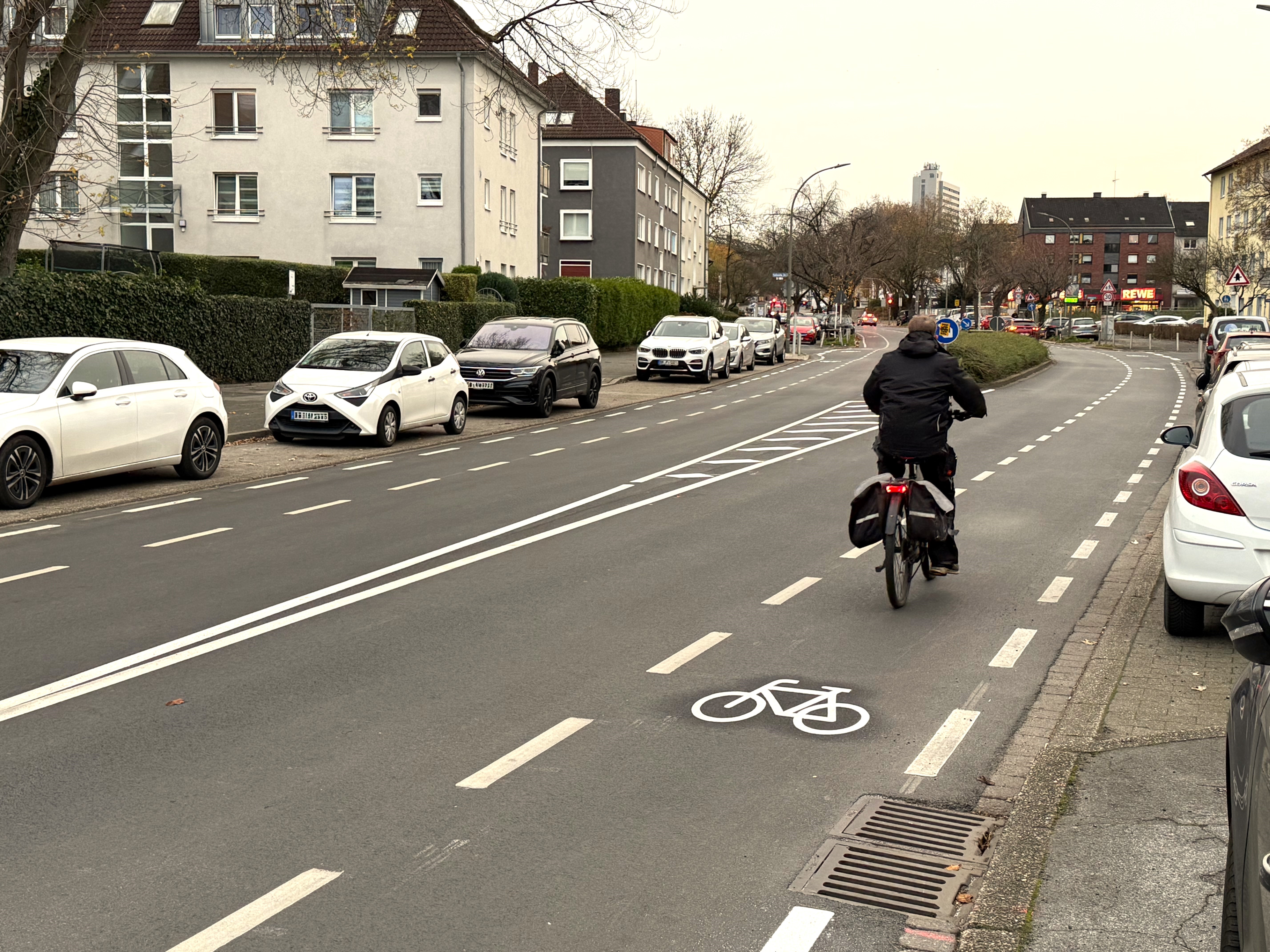 Ein Radfahrender von hinten fotografiert. Er fährt auf einem Fahrradschutzstreifen. Links und rechts parken Fahrzeuge parallel zur Fahrbahn. 