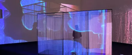 Blick in die Ausstellung (Person vor Video-Leinwand im farbigen Licht)